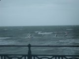 IMG_1833.JPG